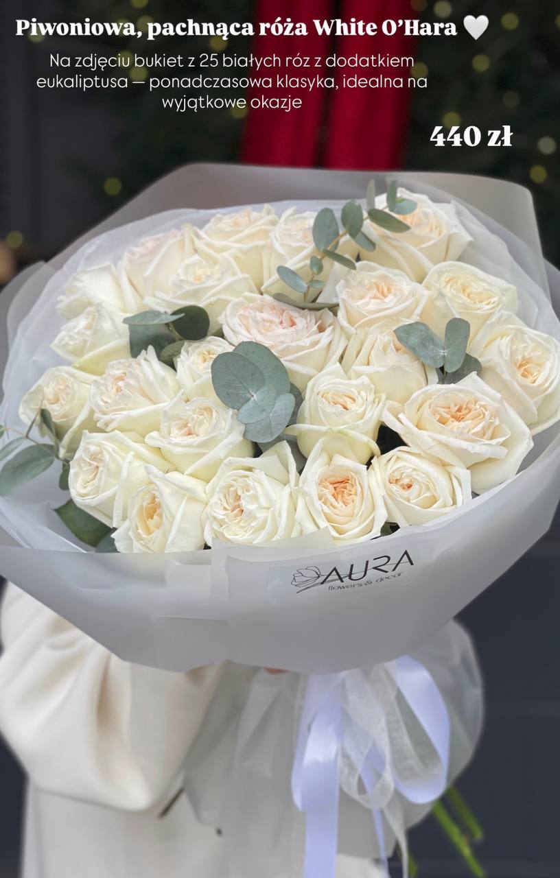 Piwoniowa róża White O'Hara